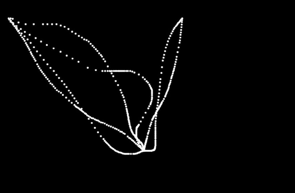 Python实现鼠标轨迹-猿说黑科技